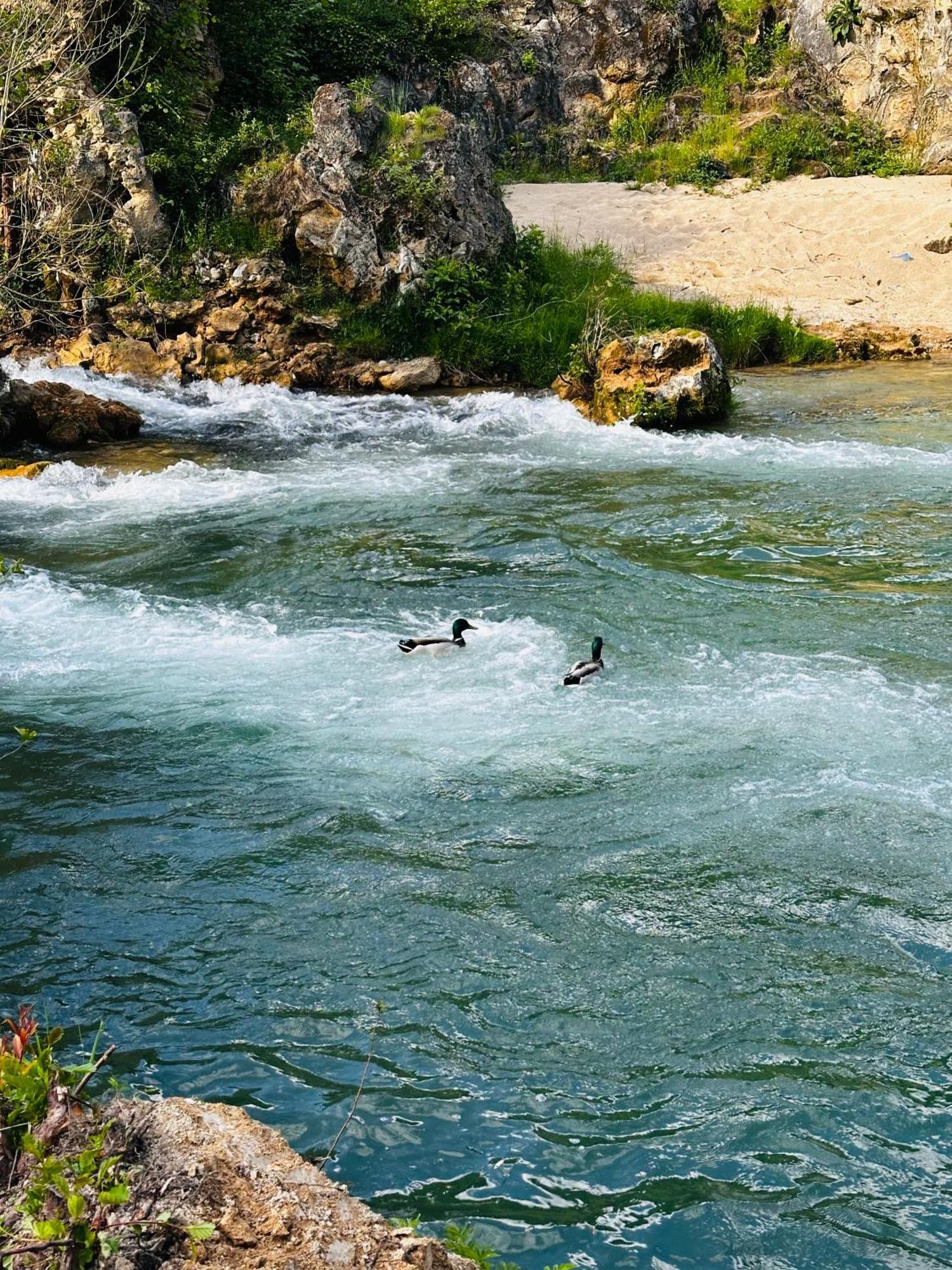 Apart Cobras Jajce Exterior photo